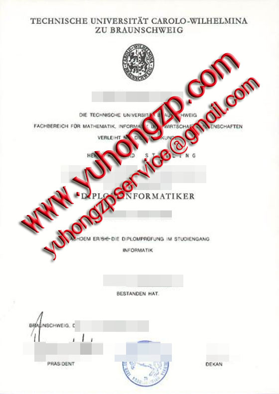 diploma of TU Braunschweig diploma of TU Braunschweig