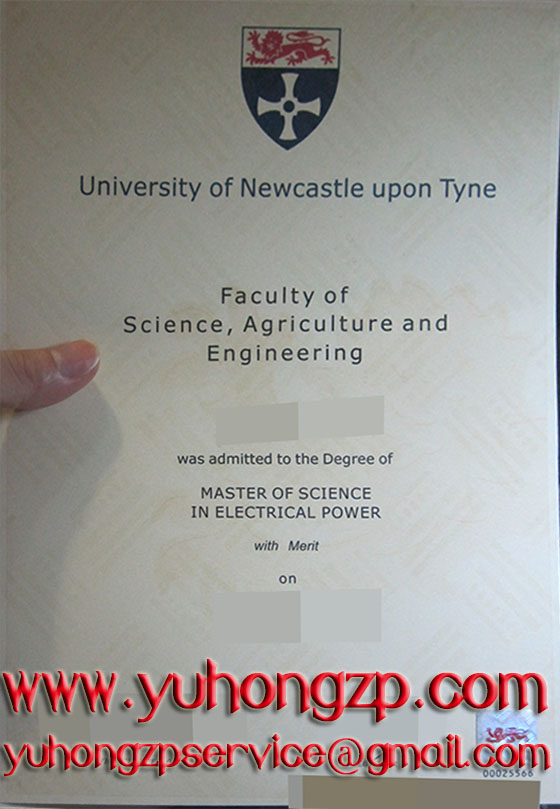 Newcastle University degree Newcastle University degree