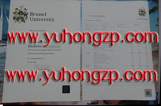 Brunel University degree and transcript Brunel University degree and transcript