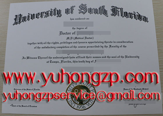 University of south Florida degree University of south Florida degree