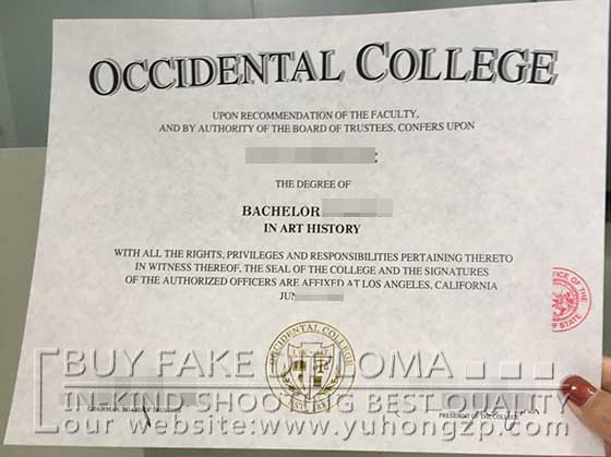 Occidental College fake degree
