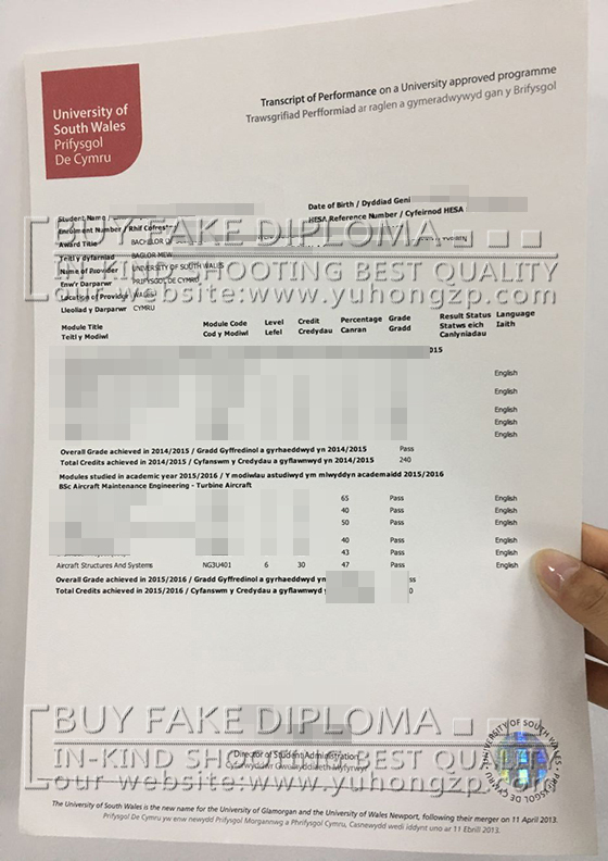 University of South Wales transcript University of South Wales transcript