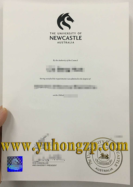 university of newcastle degree
