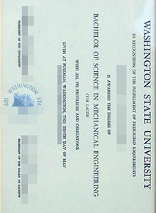 Washington State University degree, buy fake diploma and transcript in American