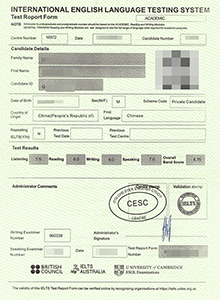 IELTS certificate, buy fake diploma and transcript online