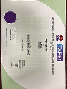 Why Is it Buy a fake TAFE Certificate So Important if You Failed the Exam???