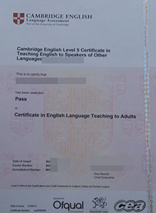 CELTA certificate, buy fake CELTA diploma and transcript online