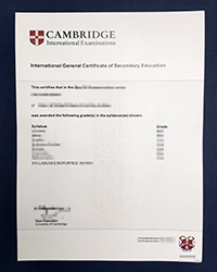 Best fake Cambridge IGCSE certificate for sale, buy fake IGCSE diploma and transcript online