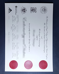 Will the new version cost the same as the old version of the MRCP UK certificate now?