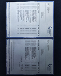University of Phoenix transcript, buy fake diploma and transcript online