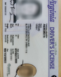 Real Virginia driver’s license for sale, buy scannable Virginia driver license online