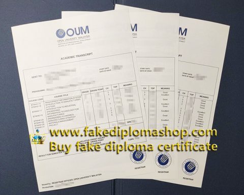 Can I buy fake transcript to replace my Lost OUM transcript?