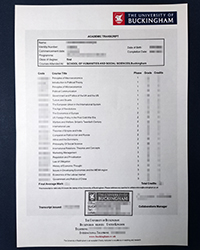 Buy a fake University of Buckingham transcript for a better job