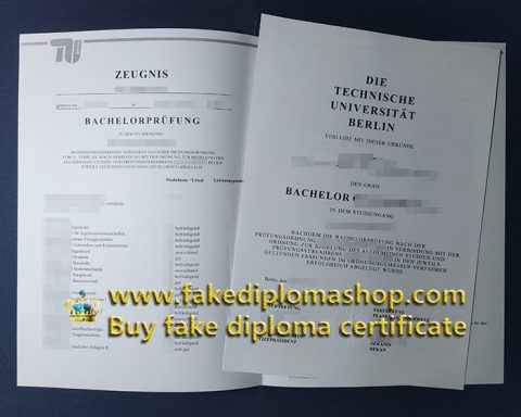 Buy Technical University of Berlin transcript as official