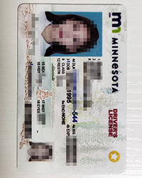 Scannable Minnesota driver’s license for sale, buy a fake MN DL in the USA