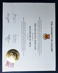 Why do you choose a fake University of Calgary diploma to get a job?