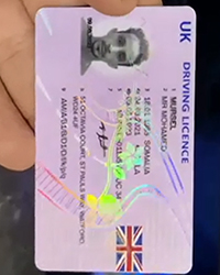 What is the difference between the new UK driving license and the old one?