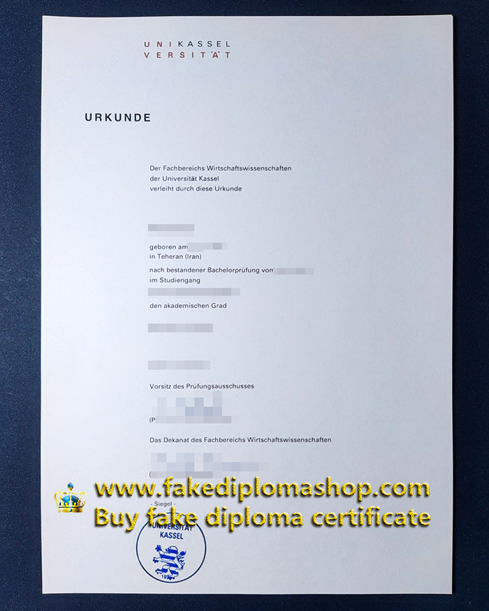 fake University of Kassel diploma