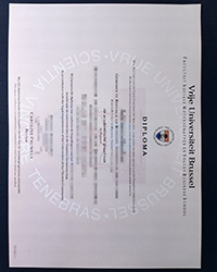Fake Vrije Universiteit Brussel diploma, VUB Bachelor degree for sale
