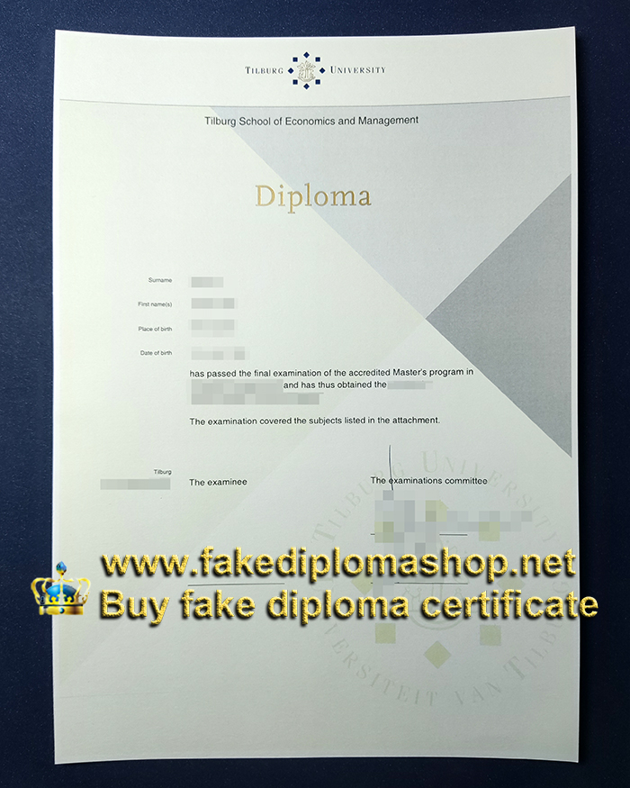 Tilburg University diploma