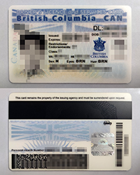 BC DL and Services card, British Columbia CAN Driver’s Licence and Services card for sale