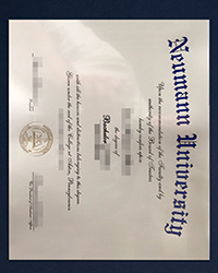 Can I buy a phony Neumann University diploma in a week?
