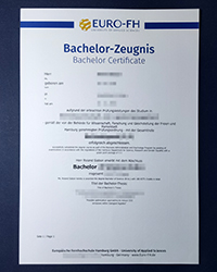 What is the fastest way to get a Euro-FH diploma of Bachelor?