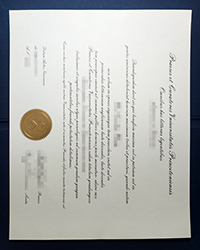 Buy Universitas Princetoniensis diploma of Doctor with real gold seal