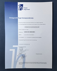 What is the use of a Haagse Hogeschool certificate in the Netherlands?
