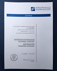 Why do you choose an Hochschule Schmalkalden certificate to get a job?