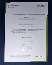 The Hague University of Applied Sciences diploma, THUAS diploma for sale