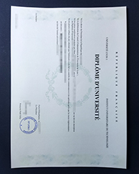 How much to buy an IUT Lyon diploma, Claude Bernard University Lyon 1 diploma?