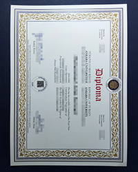 What degrees does the Ankara University diploma offer?