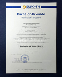 Best Europäische Fernhochschule Hamburg degree certificate for sale