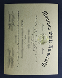 Which major is the best at Montana State University diploma now?