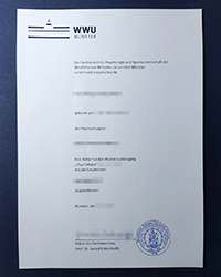What is the use of a University of Münster diploma in Germany?