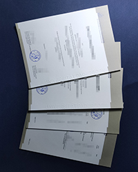 How long to get Universität Paderborn diploma and transcript in Germany?