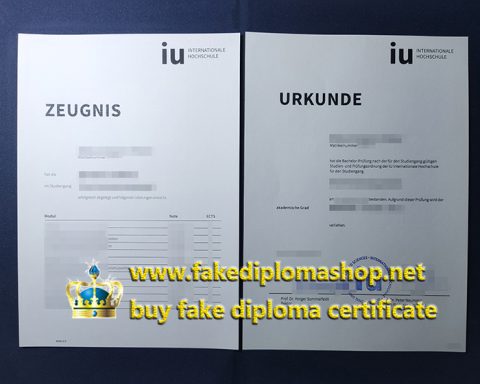 How to get an IU Internationale Hochschule diploma and transcript quickly?