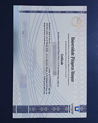 How long to buy a fake University North of Paraná diploma in Japan?