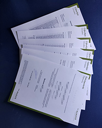 How much to buy De Haagse Hogeschool diploma and transcript in Netherlands?