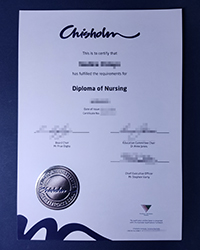 What does the Chisholm Institute diploma bring?