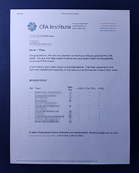 Replace your unsatisfactory CFA Institute transcript by purchasing a fake one