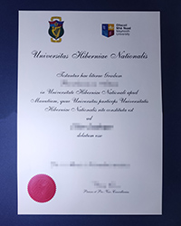 How important is an Maynooth University diploma in Ireland?