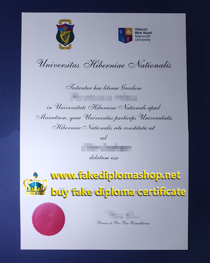 Maynooth University diploma
