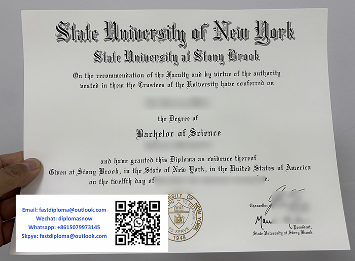 State University of Stony Brook degree