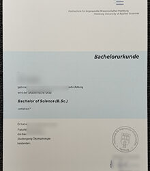 Display Copy of HAW Hamburg Urkunde