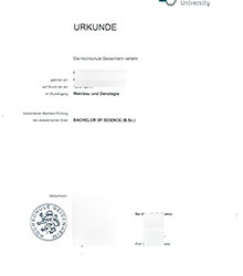 A Legacy in Parchment: What the Hochschule Geisenheim University B.Sc. Urkunde