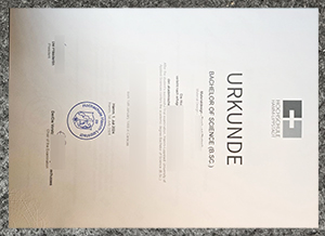 Proof of Excellence: What the Hochschule Hamm-Lippstadt B.Sc. Urkunde Represents for Graduates