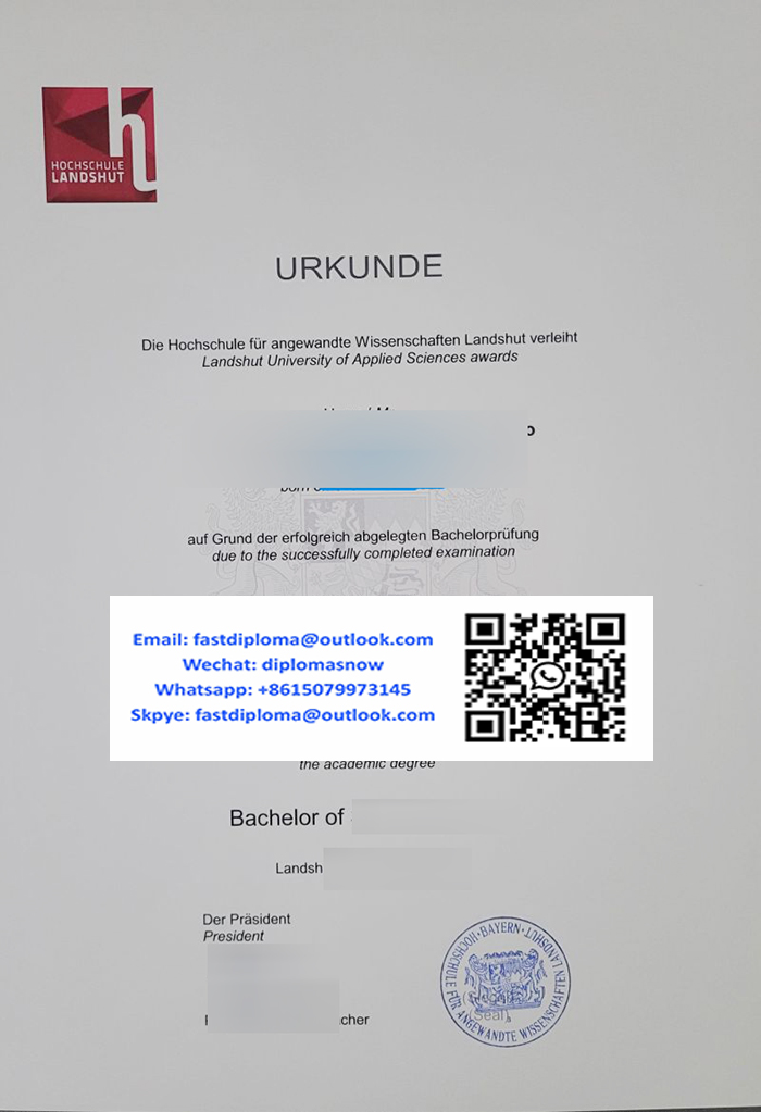 Hochschule Landshut Urkunde