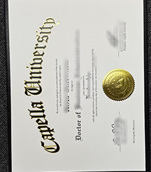 Remedies for Lost Capella University Degree